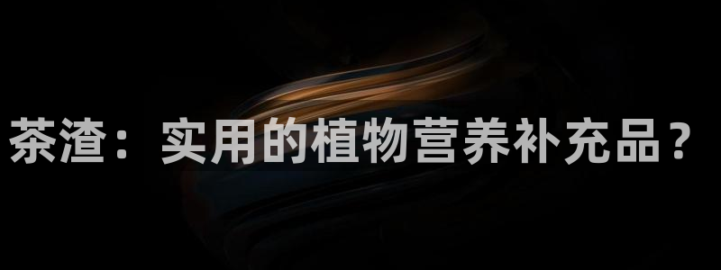 龙八国际安全