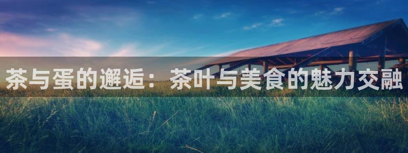 下载龙八国际手机版安装
