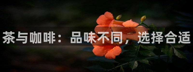 龙八国际官方首页