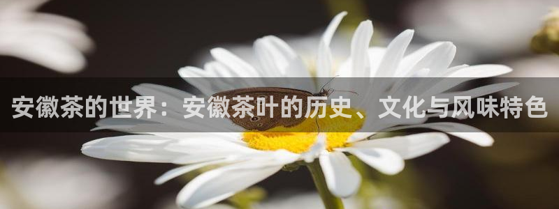 下载龙八国际手机端