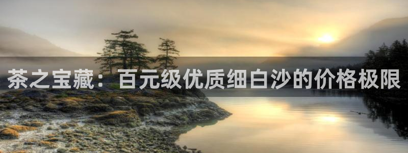 龙八国际害死多少人