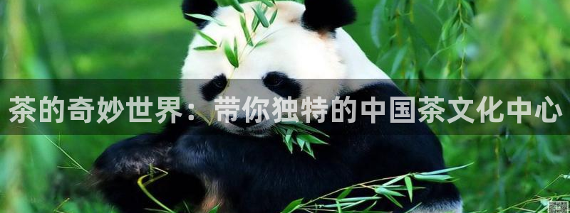 龙八国际服官网入口地址