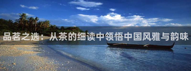 龙八国际跑路了吗