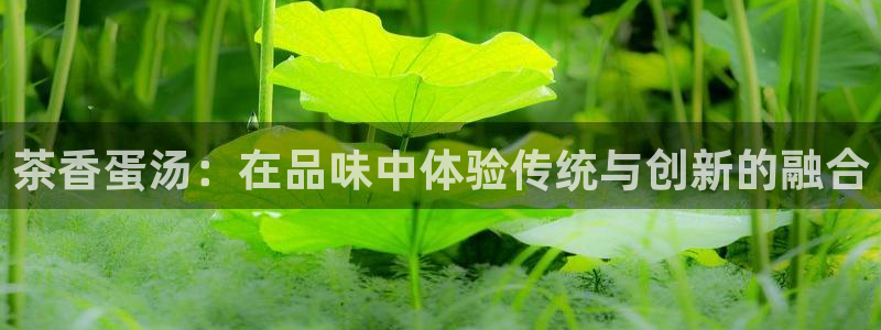 龙八国际app首页
