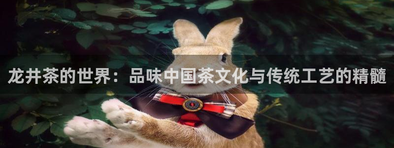 龙八国际入口