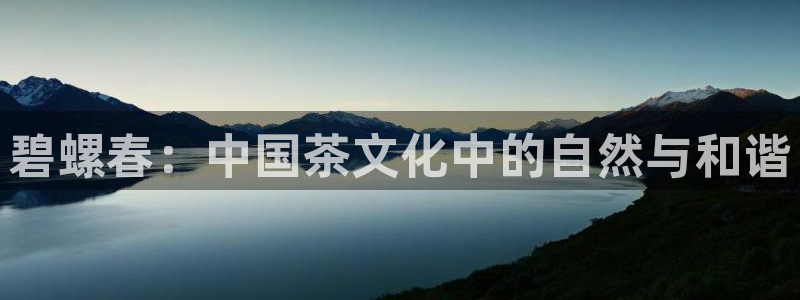 龙八国际兑换码