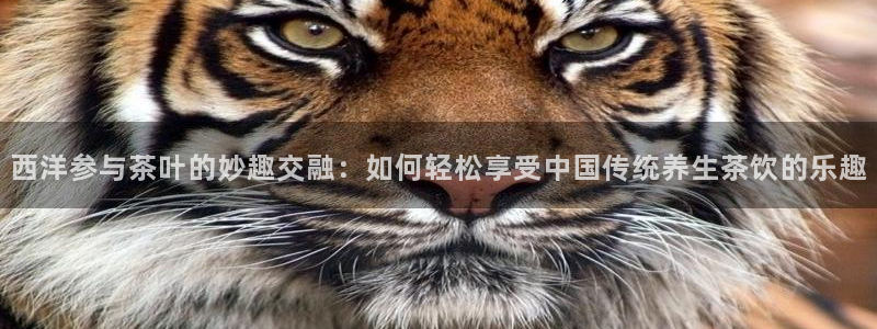 龙八国际app客户端下载手机端