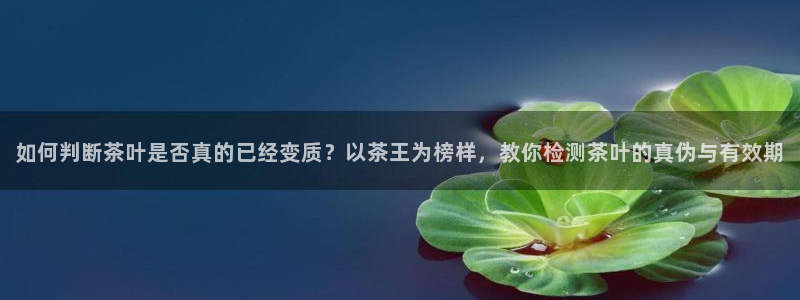 龙八国际服官网入口地址