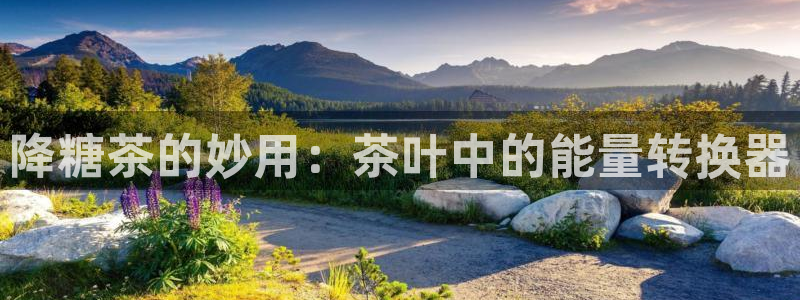 龙八国际娱乐群
