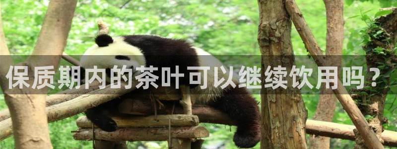 龙八国际app客户端下载手机版