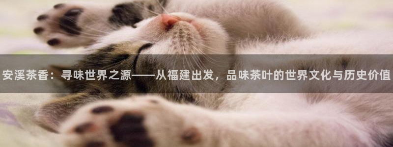 龙八国际官网客户服务