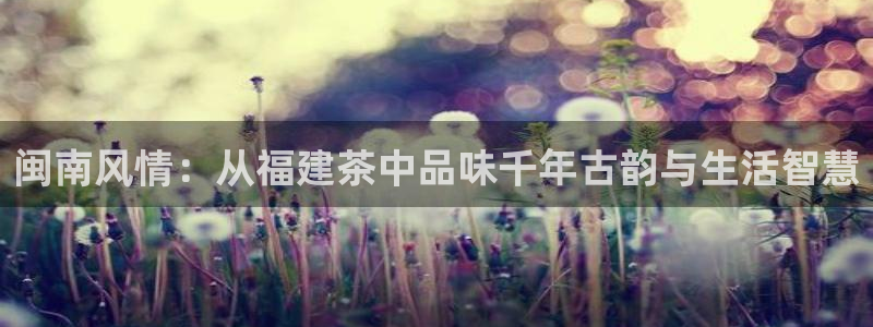 龙八国际手机版登录首页