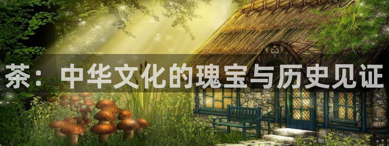 龙八国际b48点tv