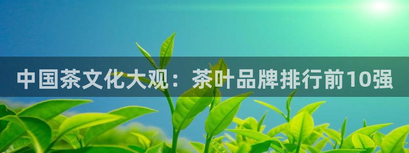 龙八国际登录网