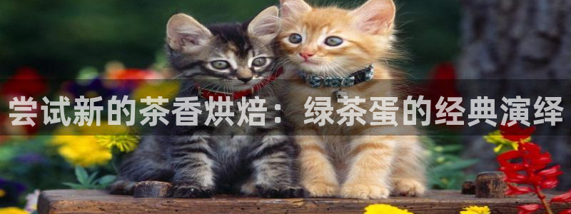 龙八国际怎么注册app