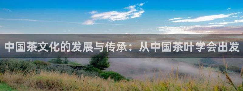龙八国际现金
