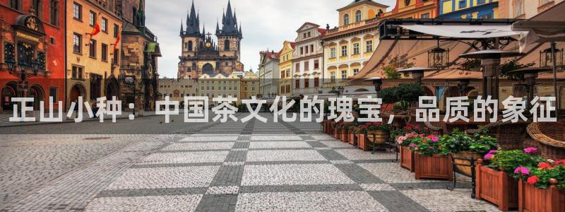 龙八国际下载链接安卓