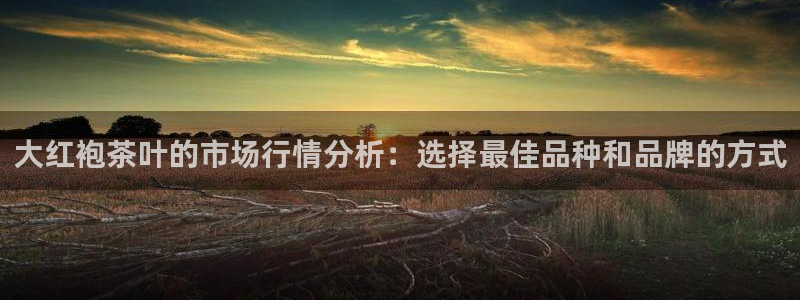 下载龙八国际官网