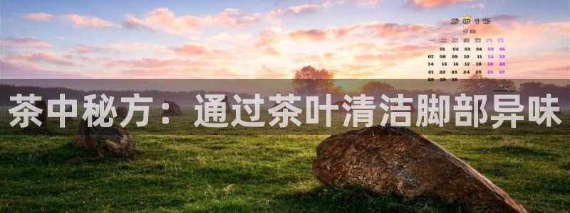 龙八国际网q18点tv