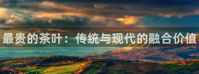 龙八国际官网手机版登录