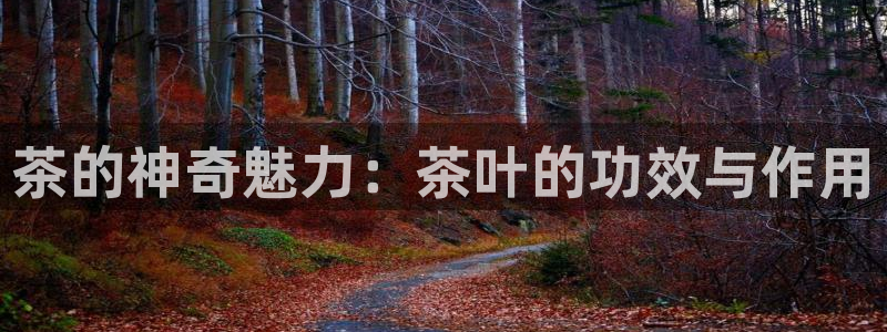 龙八国际平台手机版