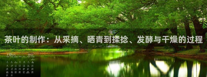 龙八国际头号玩家是谁啊