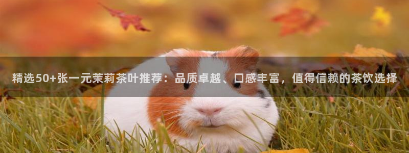 龙八国际娱乐游戏