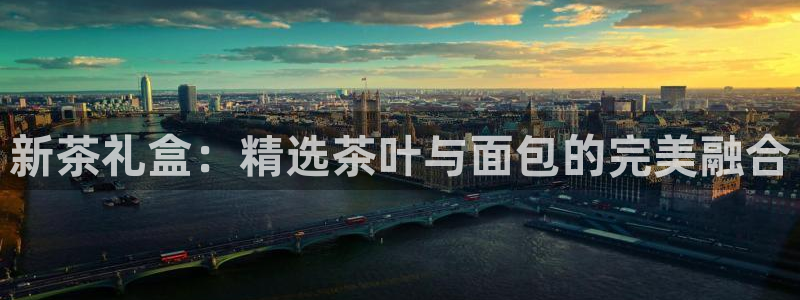 龙八国际pt娱乐