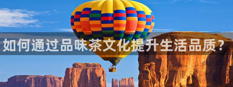 龙八国际手机版