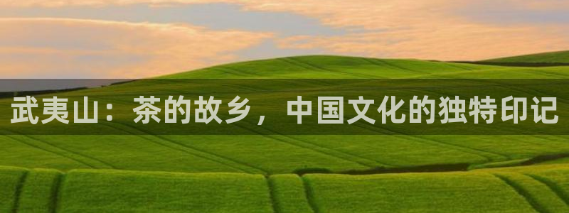 龙八国际优惠券有什么用