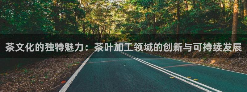 龙八国际苹果下载地址