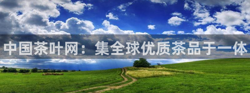 龙八国际头号玩家是谁啊