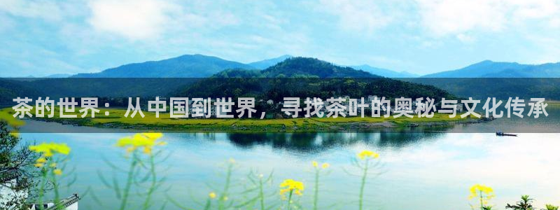 龙八国际视频网站