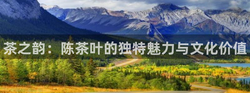 龙八国际不可思议的气球