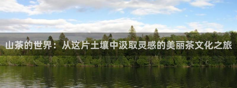 手机版龙八国际官网