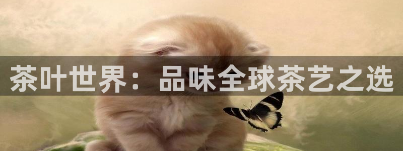 龙八国际软件下载