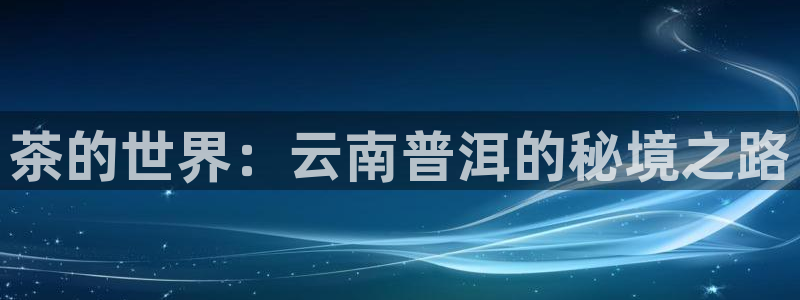 龙八国际 long5658.com