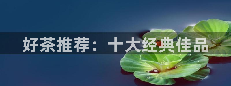 龙八国际苹果下载