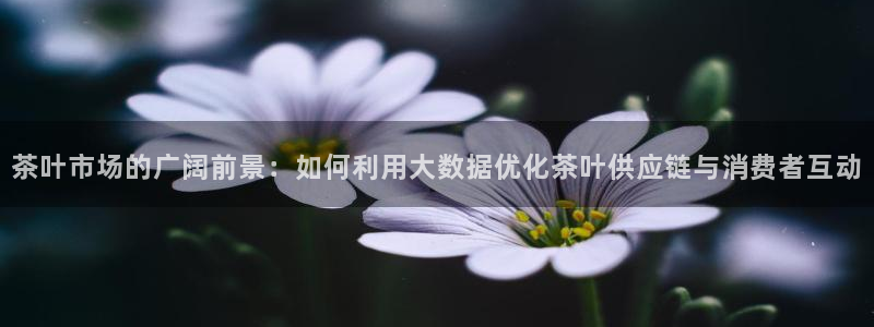 菲律宾的龙八国际输钱