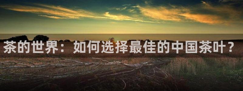 龙八国际服官网