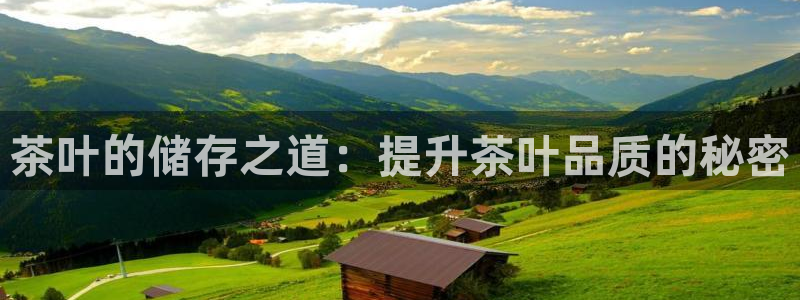 龙八国际娱乐群