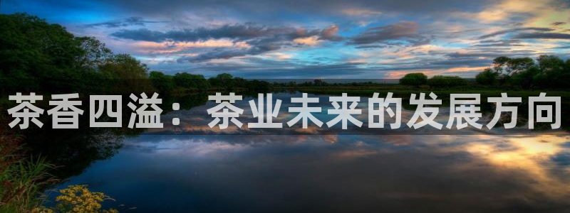 龙八国际服官网站