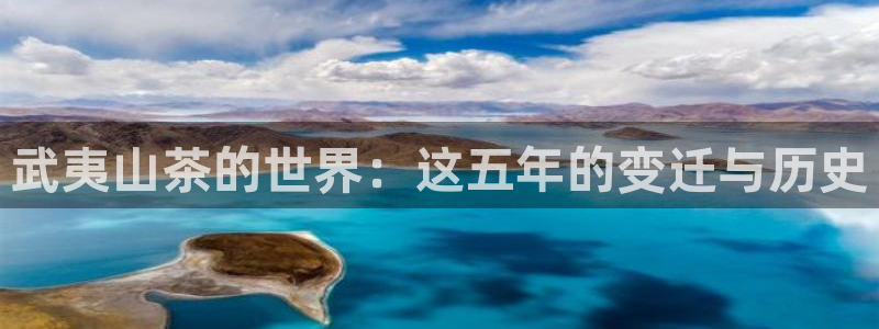 龙八国际客户端下载安卓