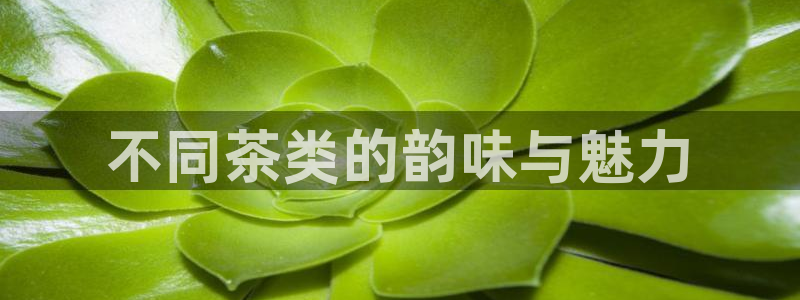 龙八国际可以京东充值吗