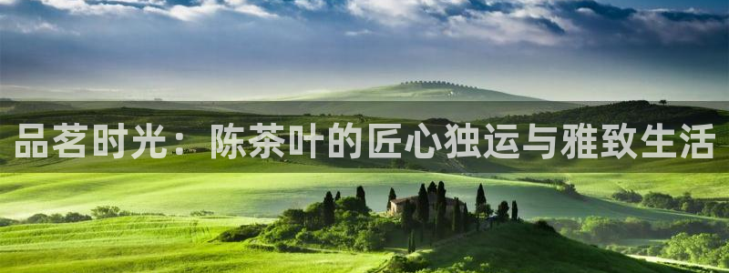 龙八国际娱乐老板是谁