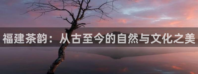 龙八国际正规吗