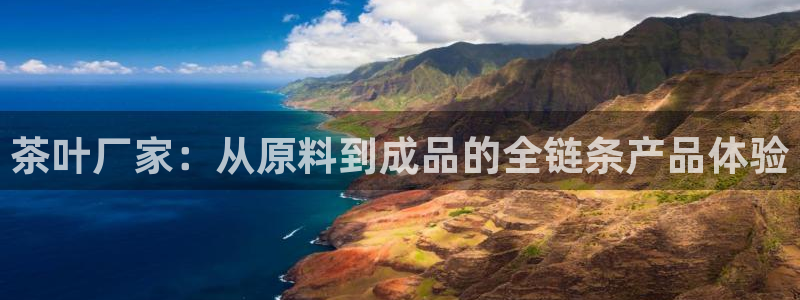 龙八国际平台手机版