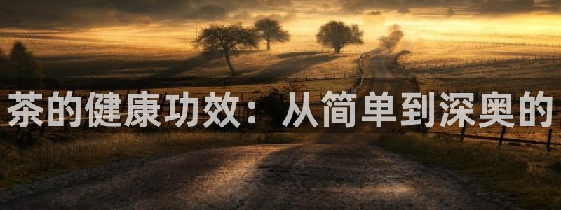 菲律宾的龙八国际