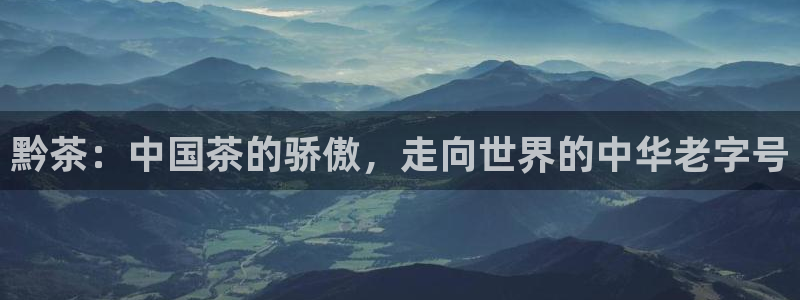 龙八国际官网app