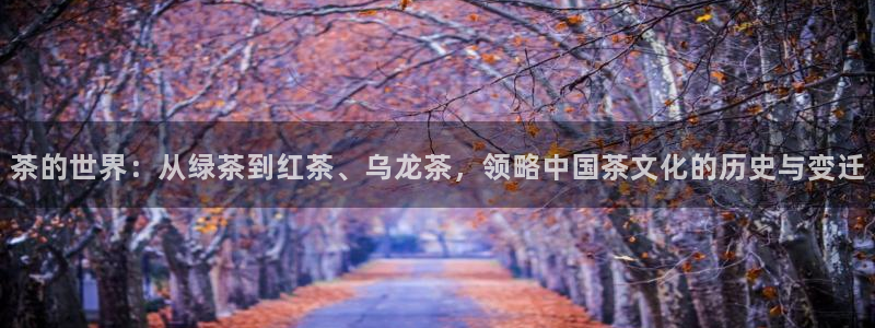 下载龙八国际大片